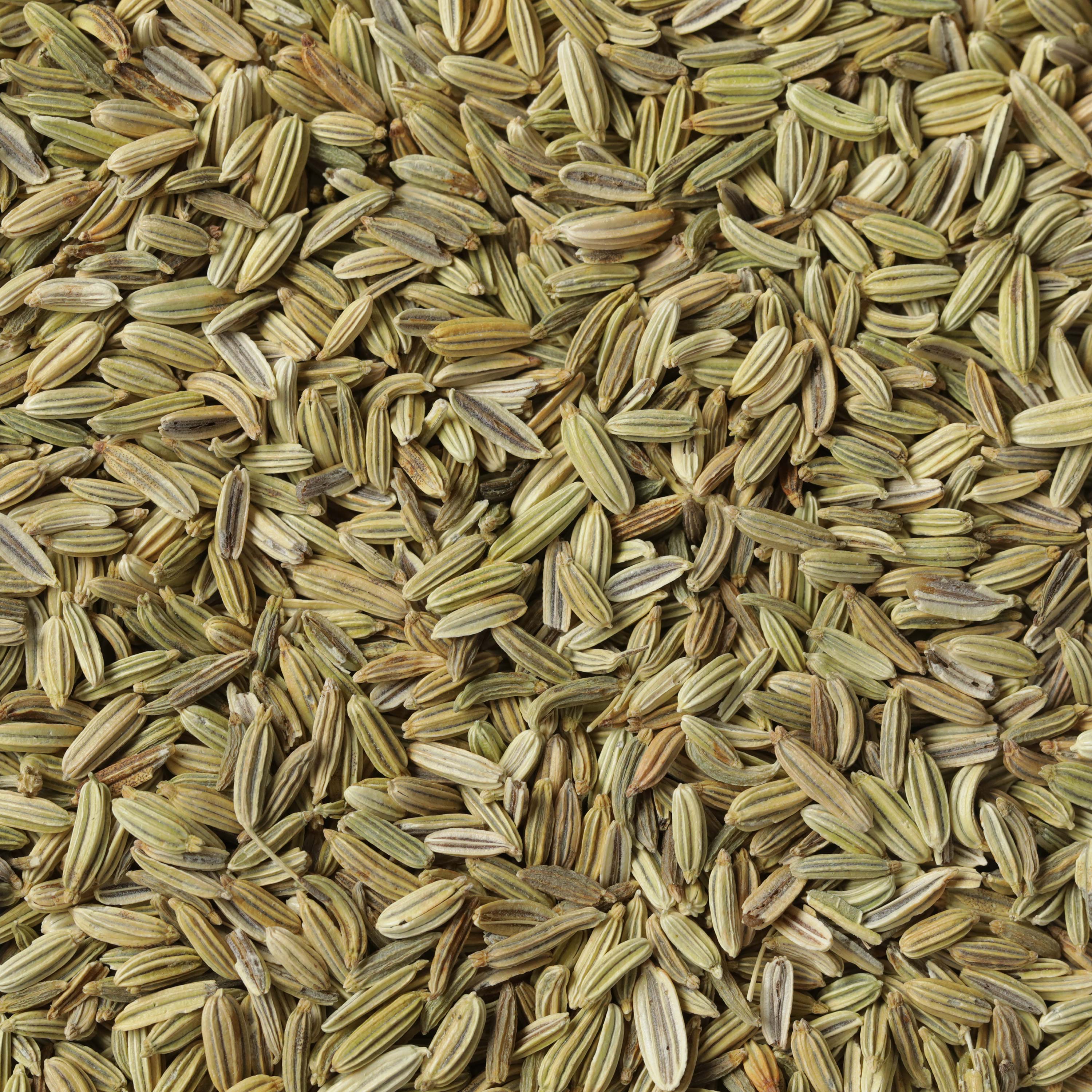 FP-501 Fresh Fennel-thumbmail-2